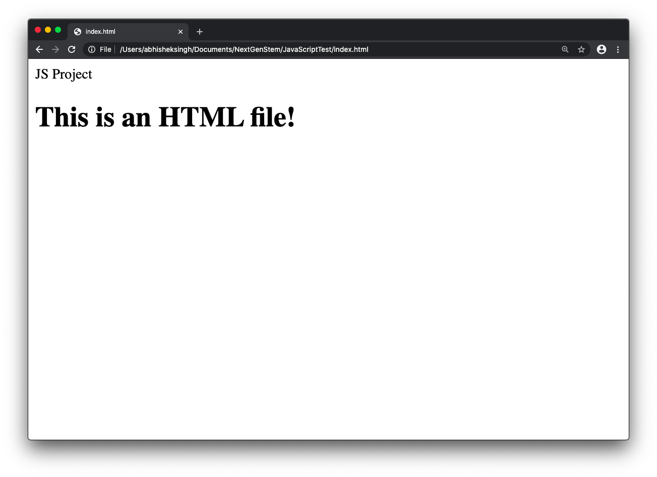 image of html file open in web page with some text on it